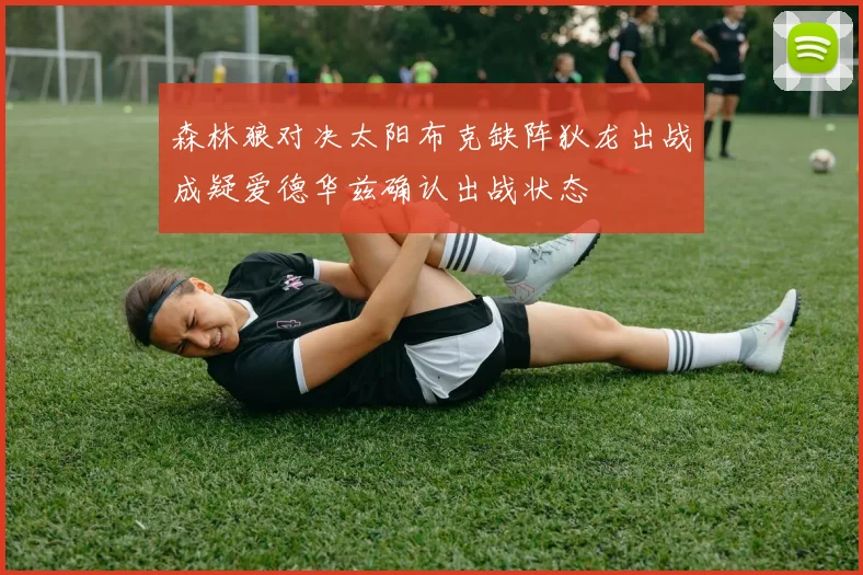 森林狼对决太阳布克缺阵狄龙出战成疑爱德华兹确认出战状态